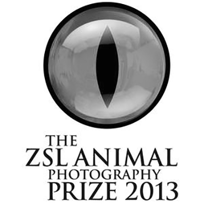 2013 ZSL ANIMAL PHOTOGRAPHY